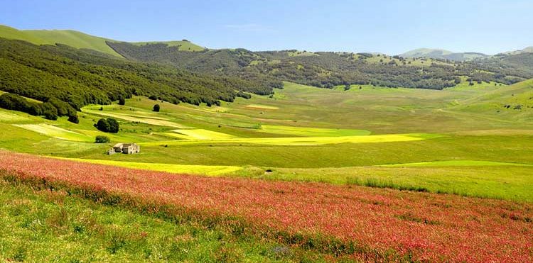 Castelluccio, Umbria