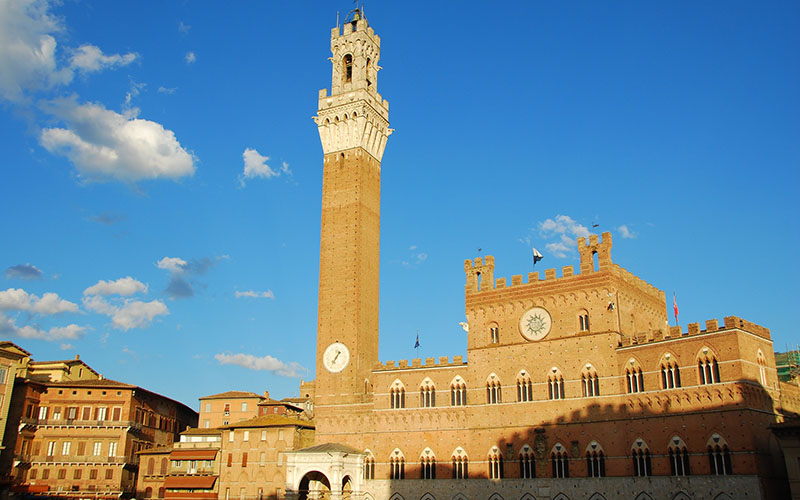 Piazza Del Campo Attraction 